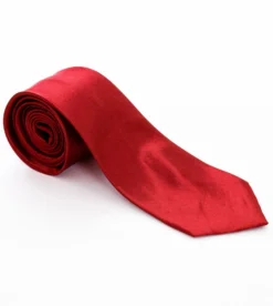 Cravatta uomo unisex elegante cerimonia casual basic raso rosso GIOSAL-CP1029A