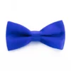 Papillon Farfalla Raso Uomo Unisex Cravattino Blu Royal Accessorio Elegante Cerimonia Casual Basic GIOSAL-CP1064A