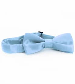 Papillon Farfalla Raso Uomo Unisex Cravattino Celeste Accessorio Elegante Cerimonia Casual Basic GIOSAL-CP1065A